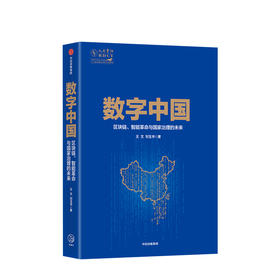 数字中国 王文 著  数字技术 数字经济 中国经济发展 经济转型  全球科技竞争  中信出版社图书 正版