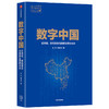 数字中国 王文 著  数字技术 数字经济 中国经济发展 经济转型  全球科技竞争  中信出版社图书 正版 商品缩略图1