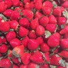 本地 鲜草莓 商品缩略图0