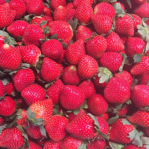 本地 鲜草莓 商品图0