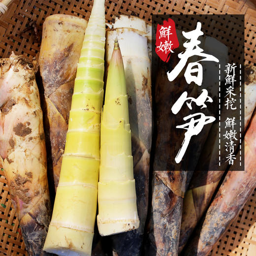 密农人家  新鲜现挖春笋  皮薄肉嫩  口感清脆微甜  1斤 商品图3