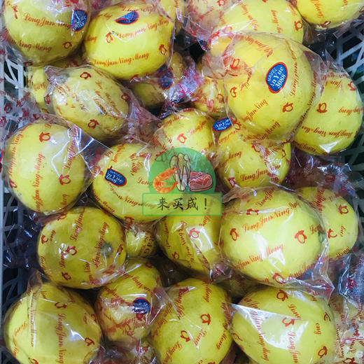 柠檬 商品图0