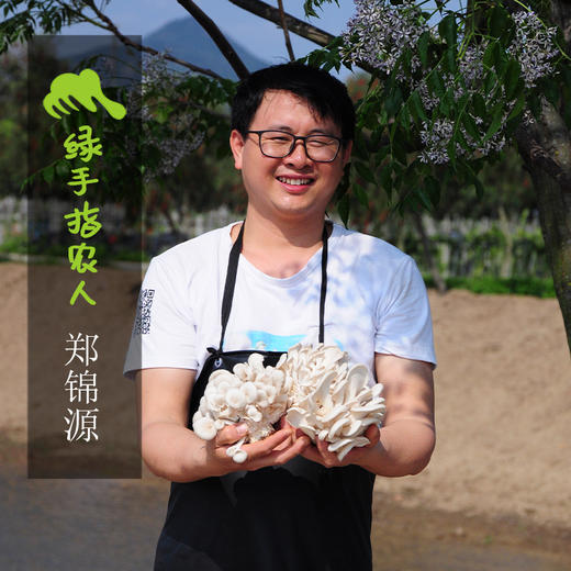 有机平菇 | 绿家自产* Organic Oyster mushroom | Self-production 商品图3