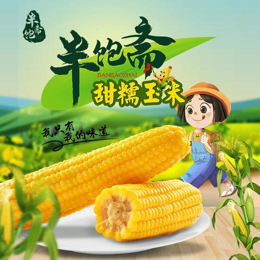 半饱斋甜糯玉米 12支/箱 商品图0