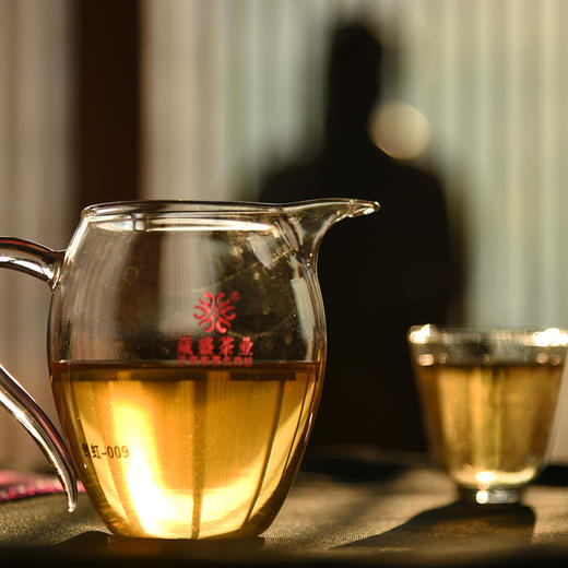 葳盛茶业2017年「茶人书壶馆」普洱生茶400g 商品图1