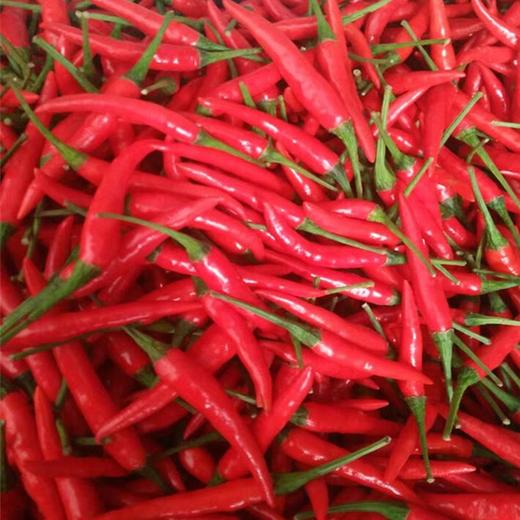 精品菜：红小米椒150g 商品图1
