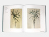 Lucian Freud: Herbarium 弗洛伊德：植物标本集 商品缩略图2