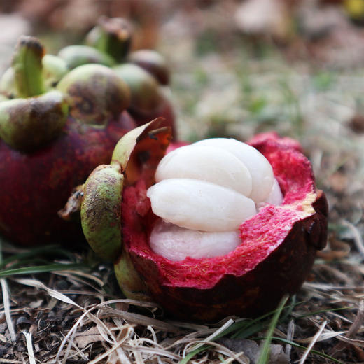 泰国山竹3斤 包邮 商品图1