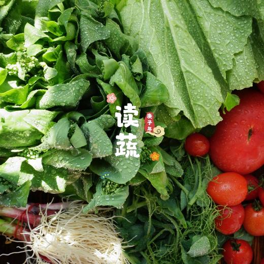 有机蔬菜礼品卡 (单次体验卡) 商品图1