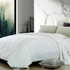贵族系列0.3kg纯蚕丝被 ANPA 商品缩略图0