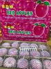 【宏丰精选】新包装陕西不倒翁苹果 底层很多空格有机脆甜苹果  11.8一斤 商品缩略图4