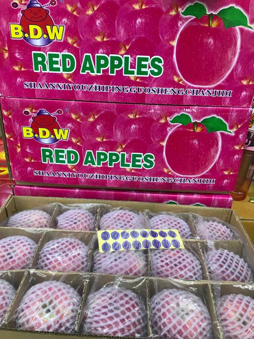 【宏丰精选】新包装陕西不倒翁苹果 底层很多空格有机脆甜苹果  11.8一斤 商品图4