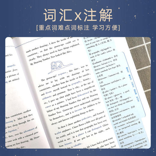 【明师自营】英文名著整本书阅读 鲁子问专家 导读系列 小王子  彼得潘 商品图3