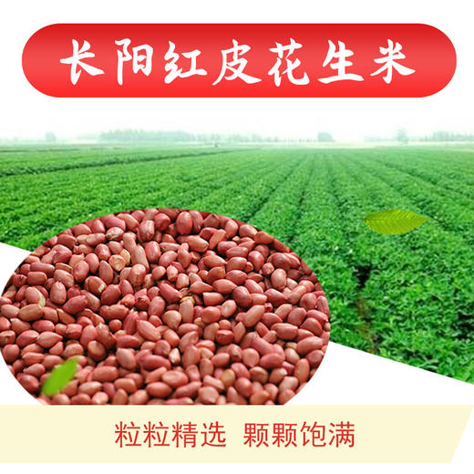 宜昌 长阳 干货组合香菇木耳花生辣椒超值大礼包 商品图5