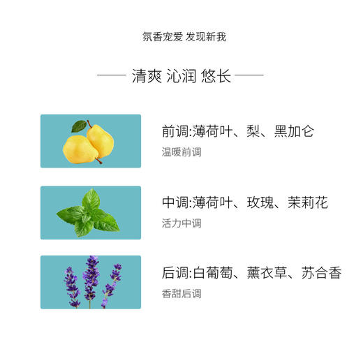 AminoMason氨基酸保湿
洗发水护发素450ml 商品图2