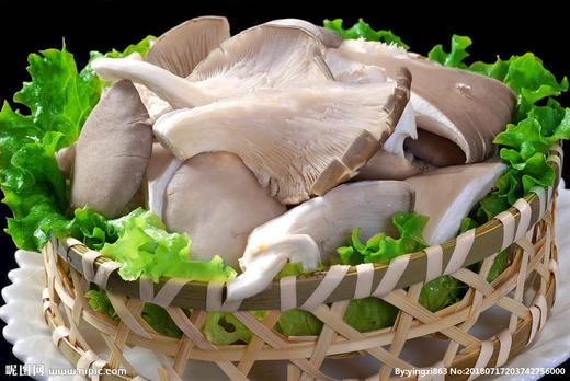 平菇 （约500g) 商品图1