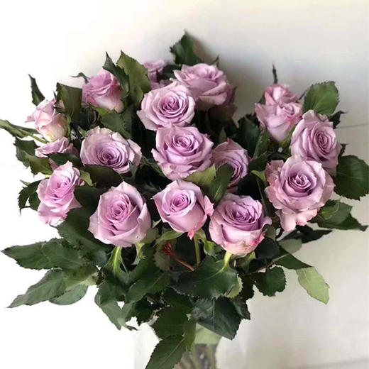 昆明玫瑰海洋之歌20支扎a级