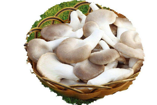 秀珍菇约500g 商品图1
