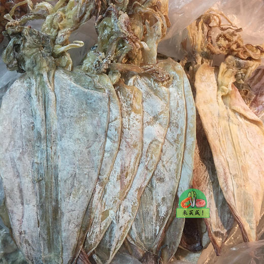 干鱿鱼（整个约1.2两） 商品图0