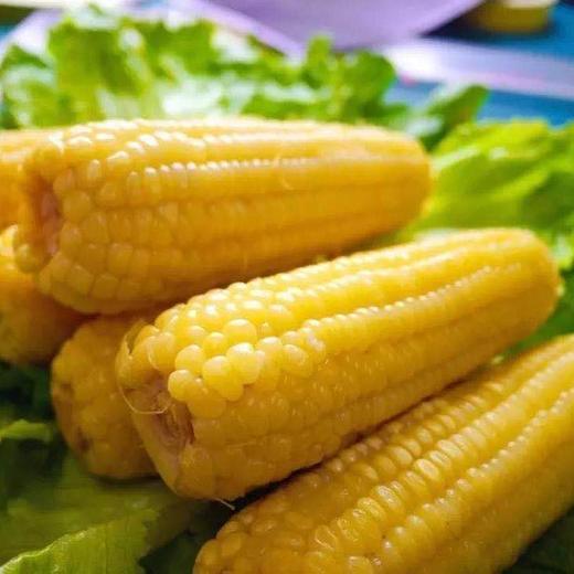 玉米 3个 商品图1
