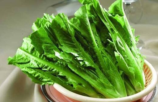 油麦菜 约500g 商品图1