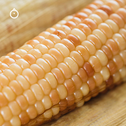  企鹅市集|云南西双版纳小玉米4斤装 百年老品种甜糯香软 商品图3