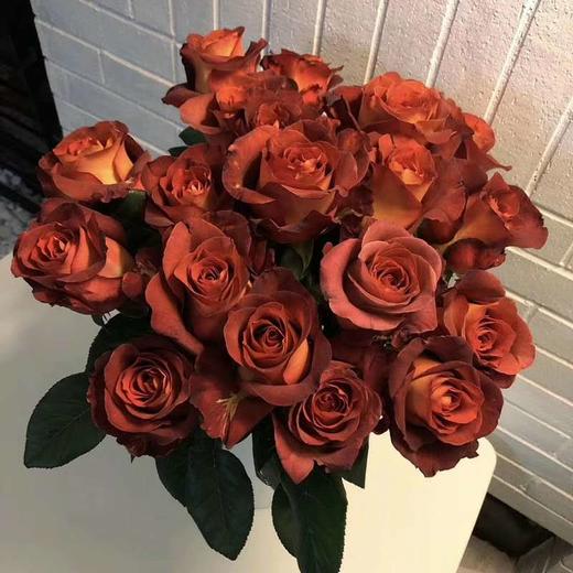 【昆明玫瑰】咖啡时间 20支/扎 a级 - 南粤floever鲜花量贩