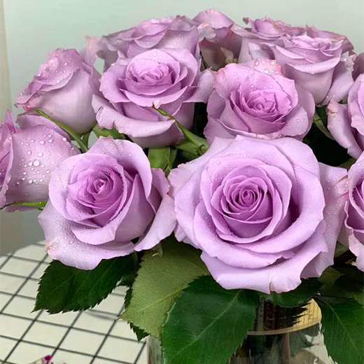 昆明玫瑰海洋之歌20支扎a级