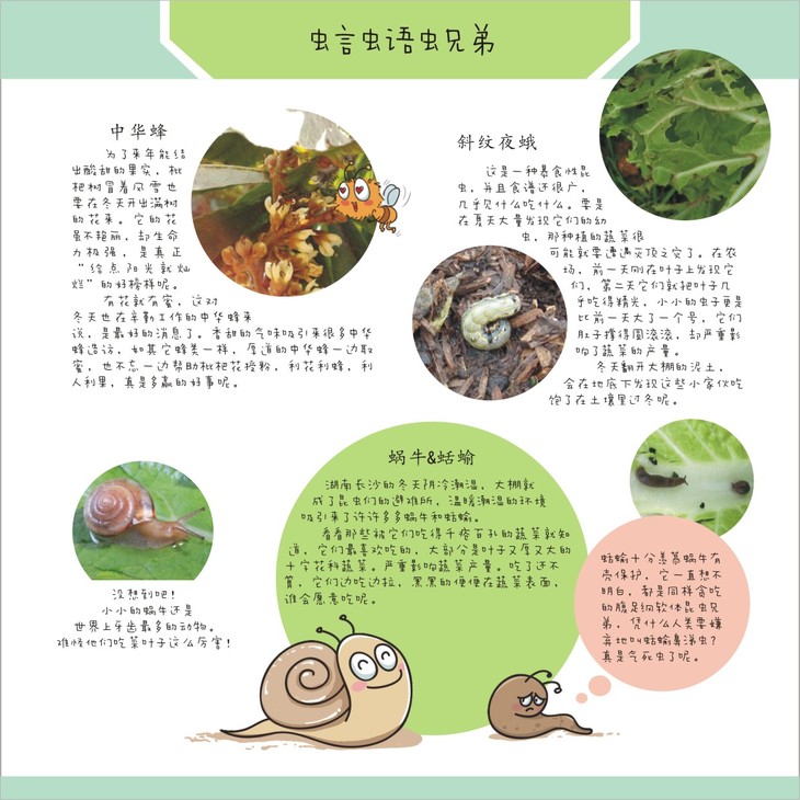 包邮|呱哩的自然笔记(冬季版)