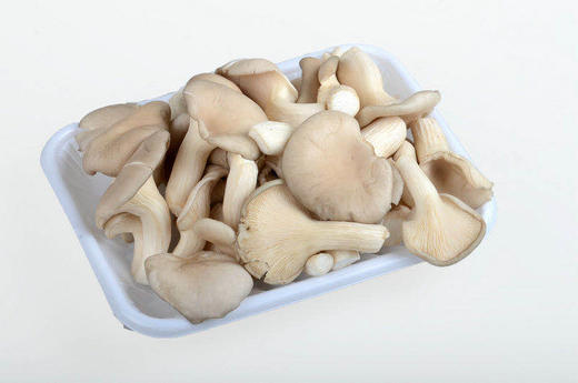 秀珍菇约500g 商品图4