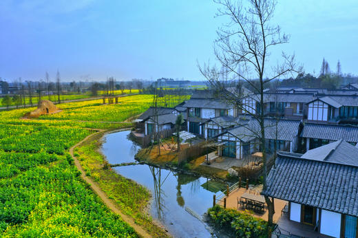 【大邑-125号院】2房/3房/4房包院，十里稻花、溪水绕乡，带暖气，这里有乡间野趣的诗和远方，DXYG 商品图11