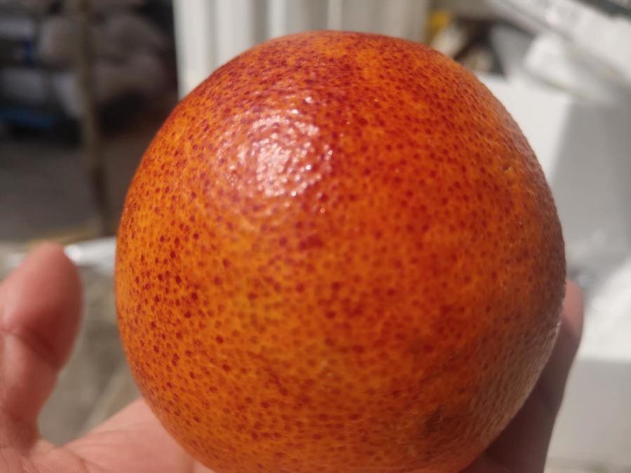 【全国包邮,边远地区不发货】西班牙阿诺德血橙,果软皮薄,肉鲜嫩,酸甜