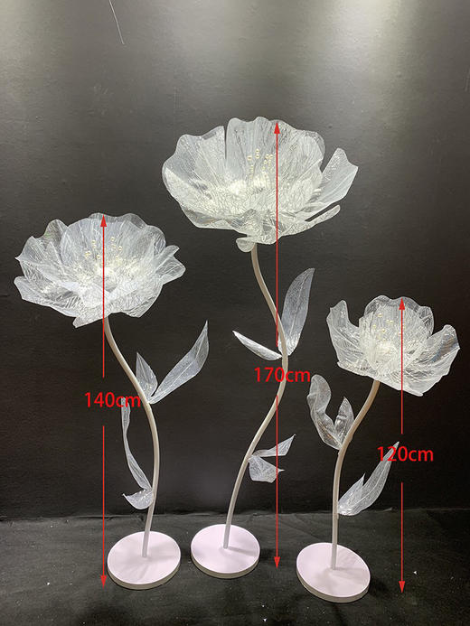 水纹花【运费自理】 商品图1