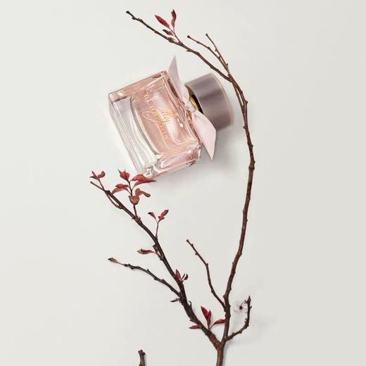 博柏利Burberry香水挚爱绯色悦粉女士浓香氛 商品图2