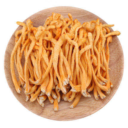 新鲜虫草花 约500g 商品图5