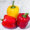 彩椒 约500g 商品缩略图0