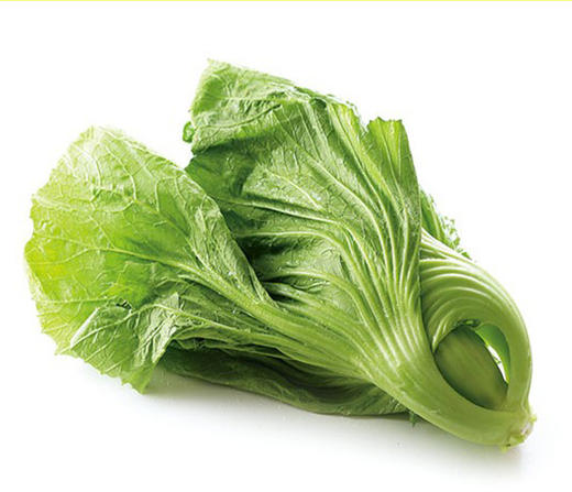 【蔬】水东芥菜一颗 约500g 商品图0