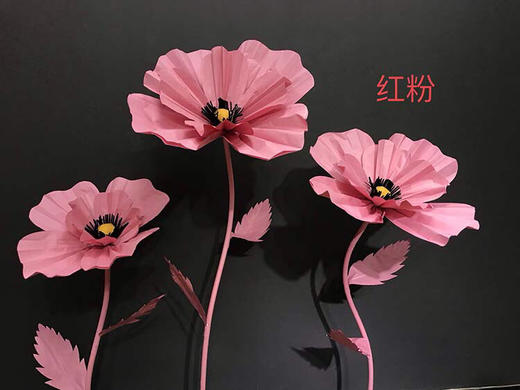 格桑花【运费自理】 商品图9
