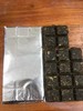 墨君巧克力茯茶 药食同源 商品缩略图5