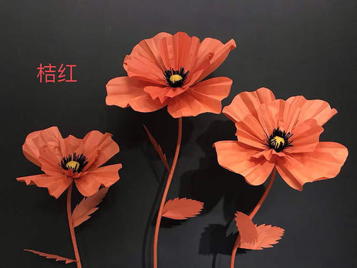 格桑花【运费自理】 商品图8