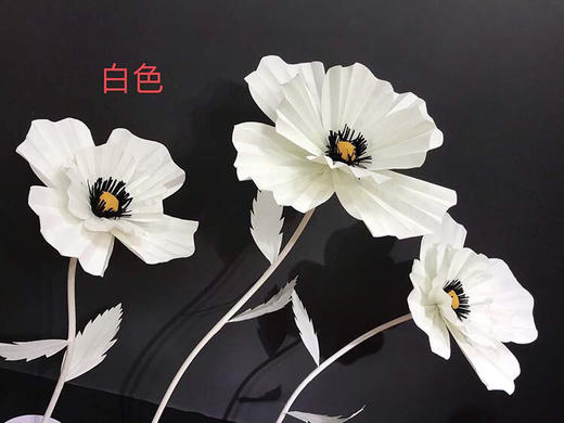 格桑花【运费自理】 商品图5