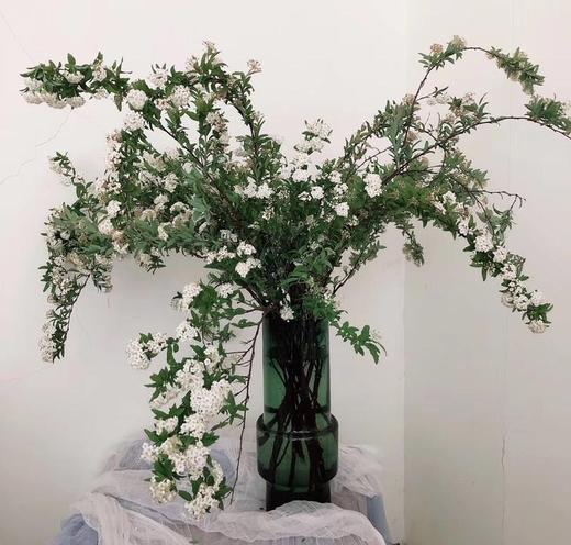 手球花 商品图0