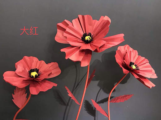 格桑花【运费自理】 商品图1