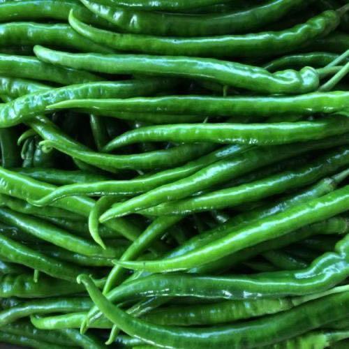 青线椒 约500克 商品图4