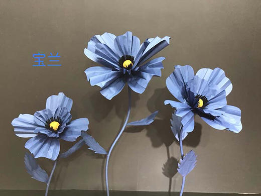 格桑花【运费自理】 商品图2