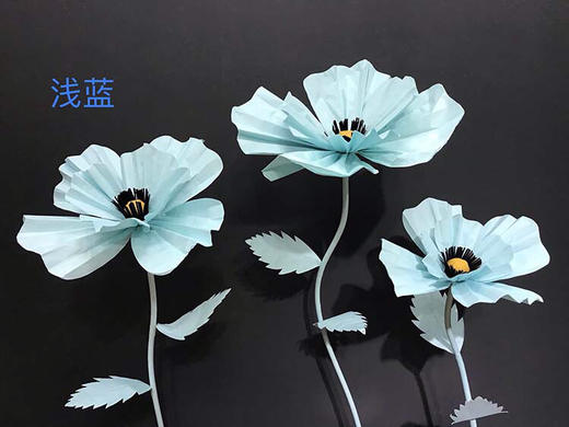 格桑花【运费自理】 商品图3