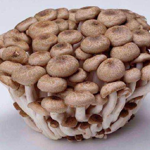 精品蟹味菇 150g/包 商品图1