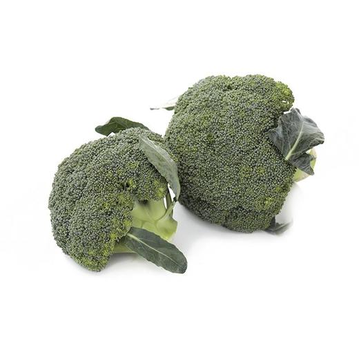 【蔬】西兰花一颗（约500g） 商品图0