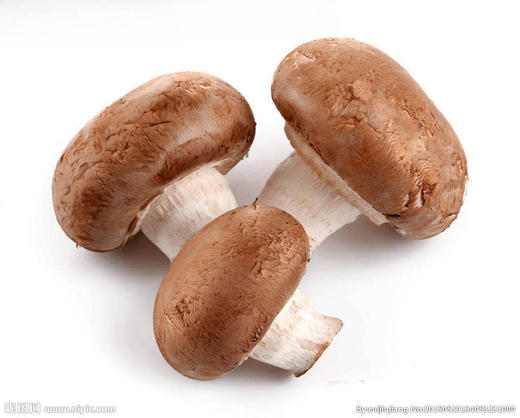 香菇 约500克 商品图3