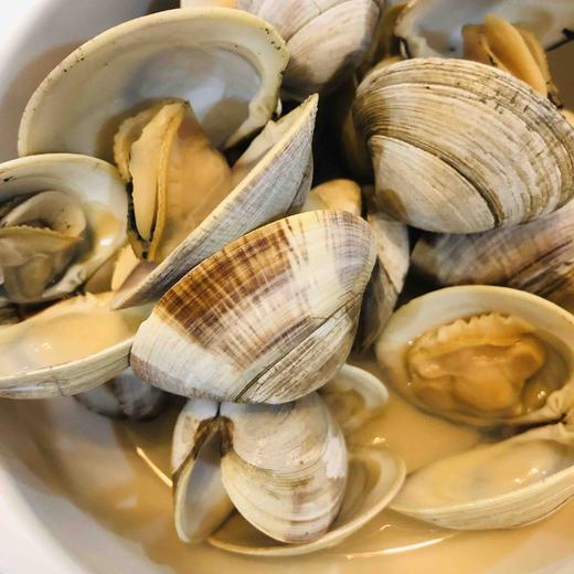 红彩贝3斤装深海贝类对生长海域水质要求高以肉微微带粉红壳多彩而得